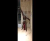 Ebony upside down shower twerking. from ebony upside down stroke