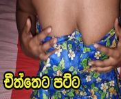 Sri Lankan Villange Girl Cheeththa Wearing Sex from indian removing clothes hot