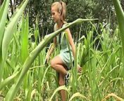 Junge Maedels verstecken sich im hohen Mais um zu spielen from im may bee