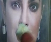 Priyanka Chopra Hollywood Bollywood Actress Hot Cum Tribute from bollywood gay film hot scences