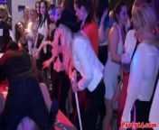Real party euro amateur in doggystyle from euro pion sex