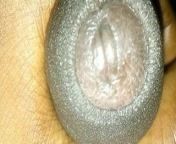 Indian dick from Durban from durban leaked gay sex