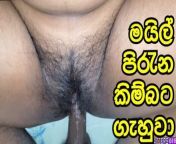 Lankan Hairy Pussy Fucked from young sri