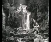 Babes in the Woods (1962) from 1962 vintage erotic movies