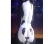 Sexy Panda Dance 2 from panda sexy 3gp