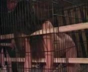 Caged Blowjob from caged bdsm sub sucks doms cock before riding