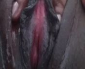 Big Clitoris Meatly Wet Pussy Fingering from african big clitoris