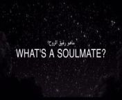 What's a soulmate from soulmate web series