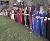 Kurdish dance of beautiful Kurdish women in Kurdish clothes from kurdish nude dance