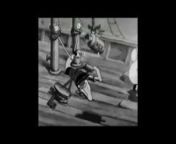 Olive Oyl Tied Up Barefoot from popeye olive blowjob cartoon