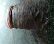 Opening Indian hairy cock pink head from indian hairy gay sex