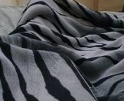 Muslim girl has blowjob under blanket swallowing cum from www arab blanket hot sex