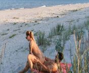 Couple Caught on Camera Having Sex on the Beach from couple caught in parkx hd inade