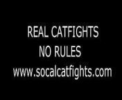 REAL CATFIGHTS NO RULES from punch rule 34