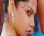 Sexy actress in the rain from telugu actress sexy rain songs in saree