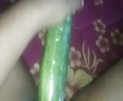 Busty slut inserts cucumber in her cunt from huge choot