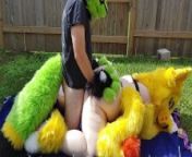 Furry backyard Sex from furry castration