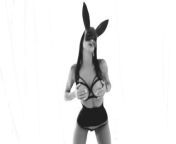 Sexy bunny dance from lapin nud