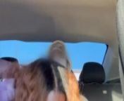 BREED ME BABY! | Passionate Backseat BBC Riding Ends In Deep Creampie from elya tonya sabitova car